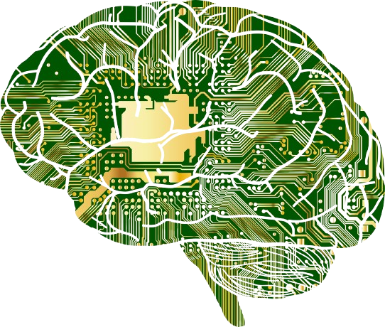 Professor Paul insegna